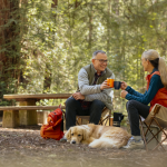 Did You Know? Did You Know?